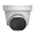 IP-камера Hikvision DS-2TD1217/QA